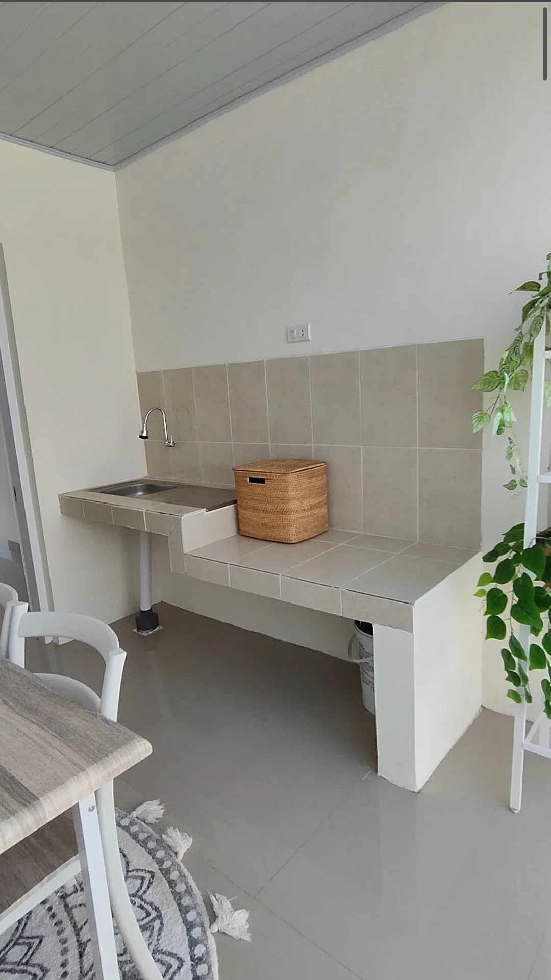 Tulip 38/84 - Komersil